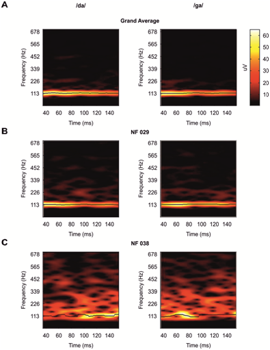 research_NewbornFFR_spectrogram