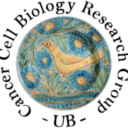 Cancer Cell Biology Research Group