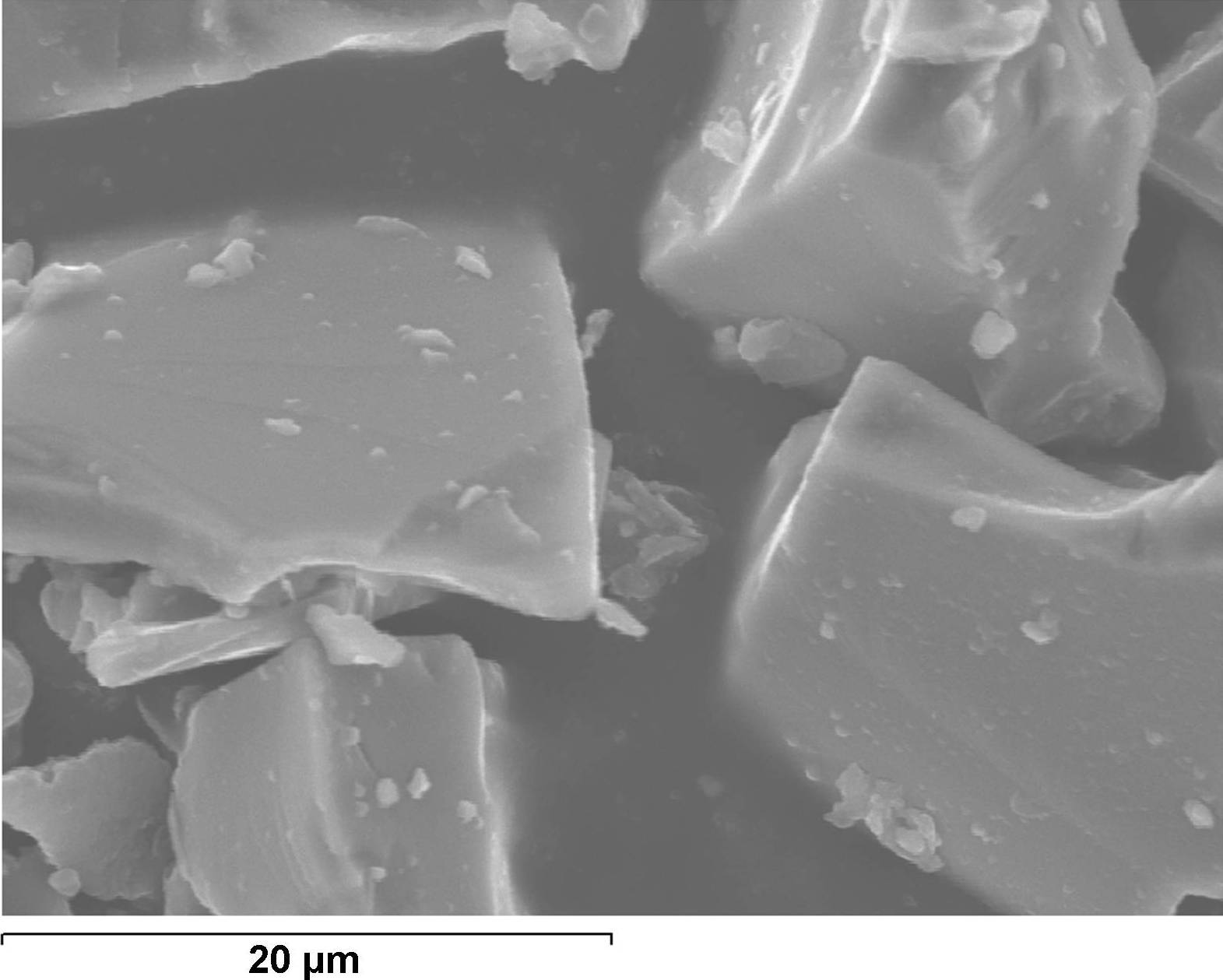 Micrografia Nº1: Detall de partícules de SiC