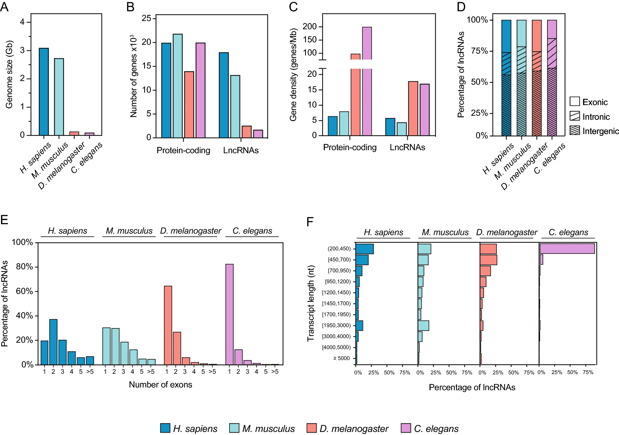 Genomic and functional conservation of lncRNAs: lessons from flies