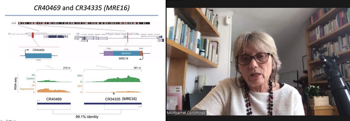 XI Meeting of Chromatin and Epigenetics