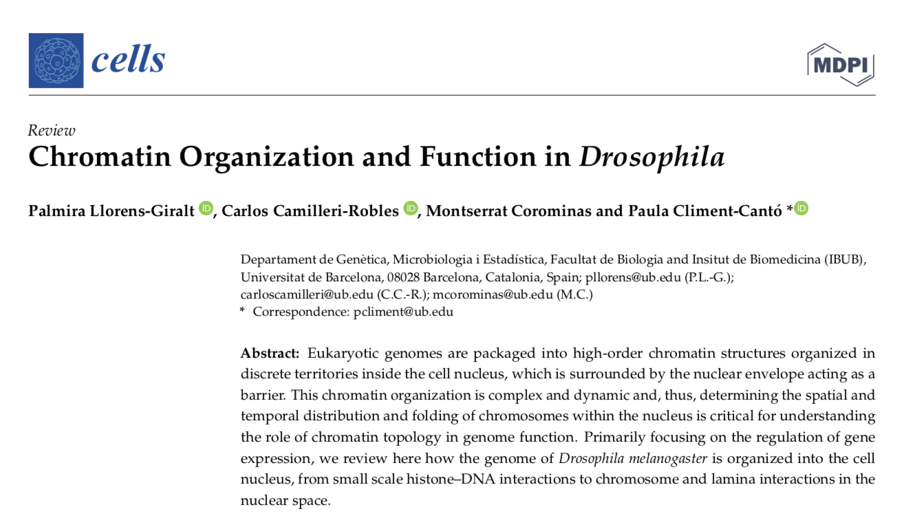 Chromatin Organization and Function in Drosophila