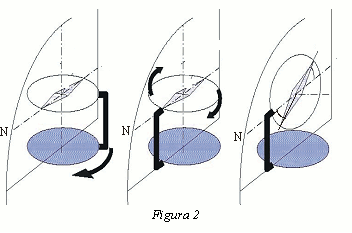 Figura 2