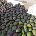 Selling avocado, one of the main crops