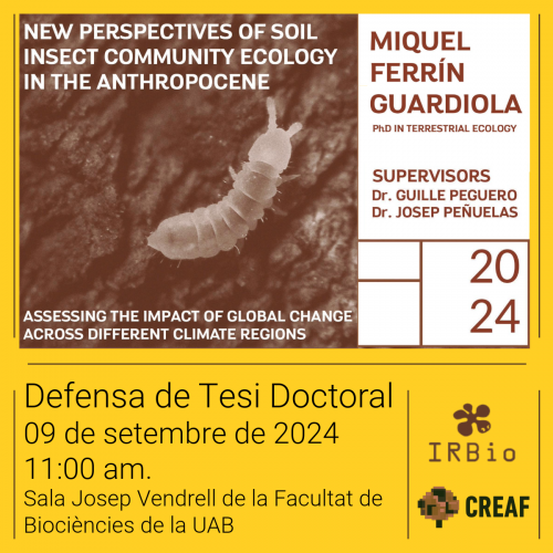 Tesi doctoral: New Perspectives of Soil Insect Community Ecology in the Anthropocene