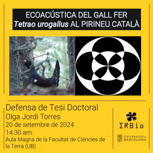 Tesi doctoral: Ecoacústica del Gall Fer (Tetrao urogallus) al Pirineu Català