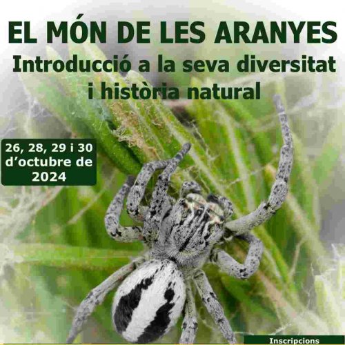 El Món de les Aranyes: Introducció a la seva diversitat i història natural