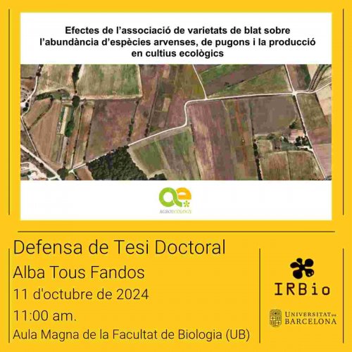 Tesi Doctoral: Efectes de l'associació de varietats de blat sobre l'abundància d'espècies arvenses, de pugons i la producció en cultius ecològics