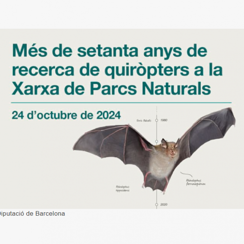 Jornada de recerca de quiròpters a la Xarxa de Parcs Naturals