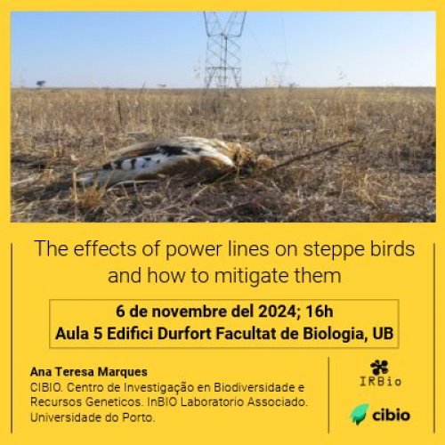 The effects of power lines on steppe birds and how to mitigate them