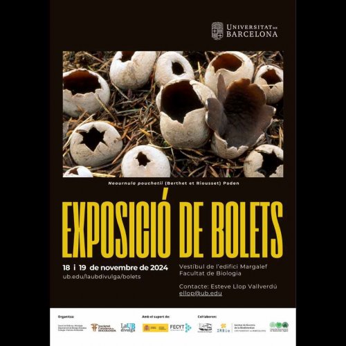 Exposició de Bolets a la Universitat de Barcelona 