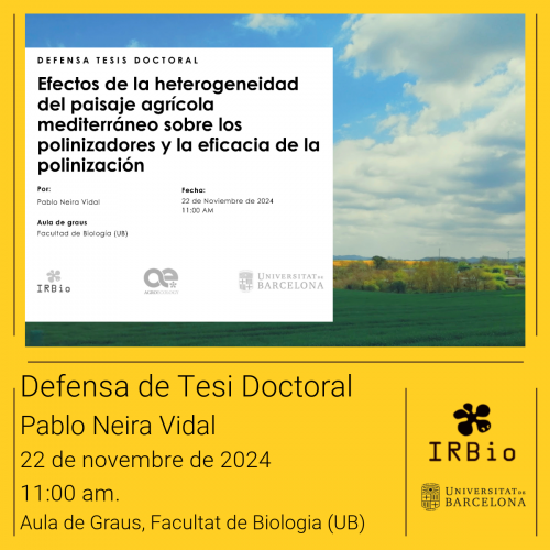 Tesi doctoral de Pablo Neira Vidal