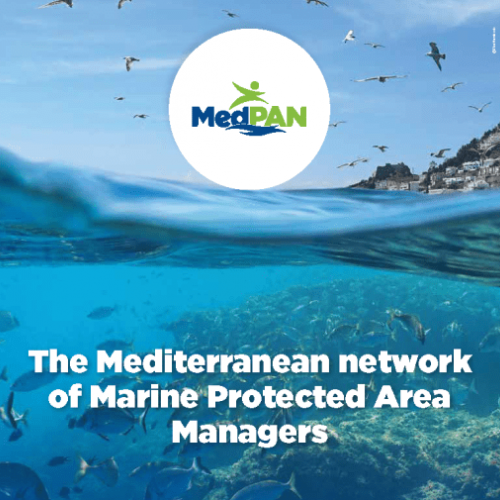 The Biodiversity Research Institute of the University of Barcelona is a partner of the MedPAN network 