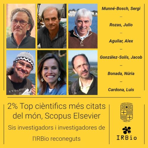 El IRBio brilla entre los científicos más influyentes del mundo según Scopus Elsevier 