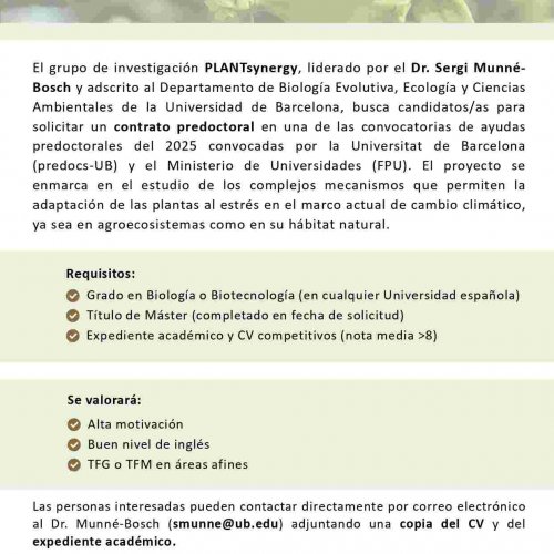 Convocatòria de plaça predoctoral al grup PLANTsynergy  