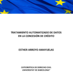 Working Paper: Esther ARROYO AMAYUELAS, Tratamiento automatizado de datos en la concesión de créditos (WP 1/2025)