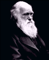 darwin2.gif (7331 bytes)