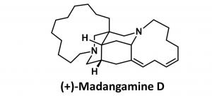 (+)-Madangamina D