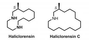 Haliclorensins