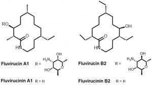 Fluvirucins