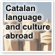 Learn Catalan with the Ramon Llull Institute