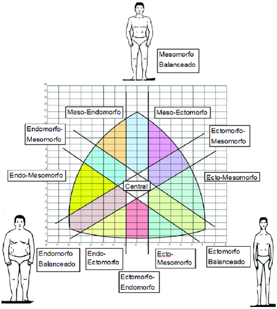 Paràmetres cineantropomètrics