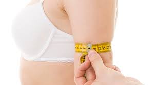 perimetre biceps dona