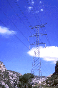 Transmission line in an Eagle's territory. (Photo: Albert Tint)