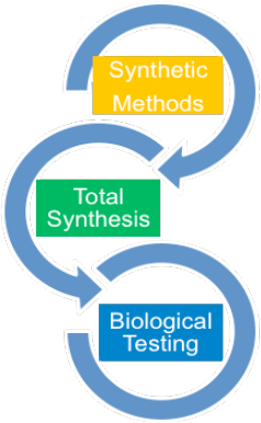 Synthetic Methodology and Natural Product Synthesis - IBUB - Institut ...