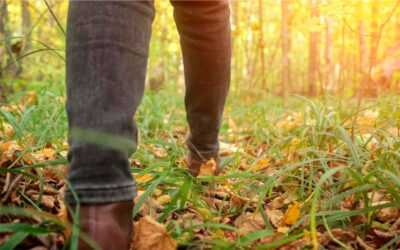 ¿Por qué no comenzar el día con un paseo al aire libre?