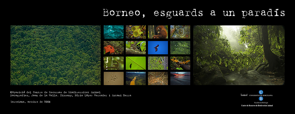 Plafó 1 de l'exposició "Borneo, esguards a un paradís" amb fotografies de Joan de la Malla (Títol)