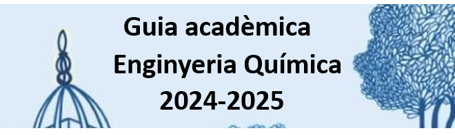 Guia académica EQ 2024-2025