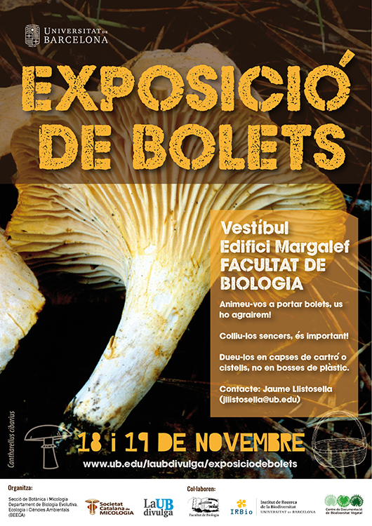 Exposicio-de-Bolets - Departament de Biologia Evolutiva, Ecologia i  Ciències Ambientals - Facultat de Biologia - Universitat de Barcelona -  Universitat de Barcelona