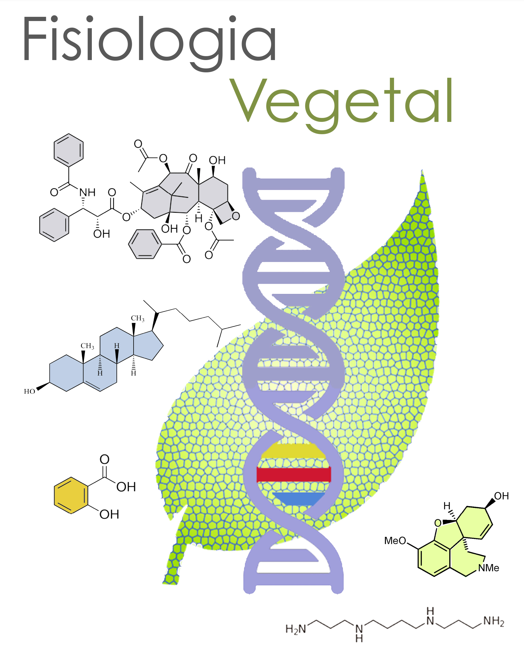 Mapa Mental Fisiologia Vegetal Fisiologia Vegetal 4546