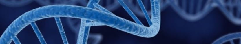 Intro Genètica Biomèdica, Evolució i del Desenvolupament