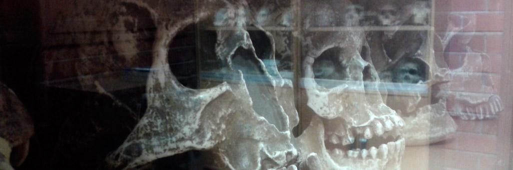 Zoología y Antropología Biológica