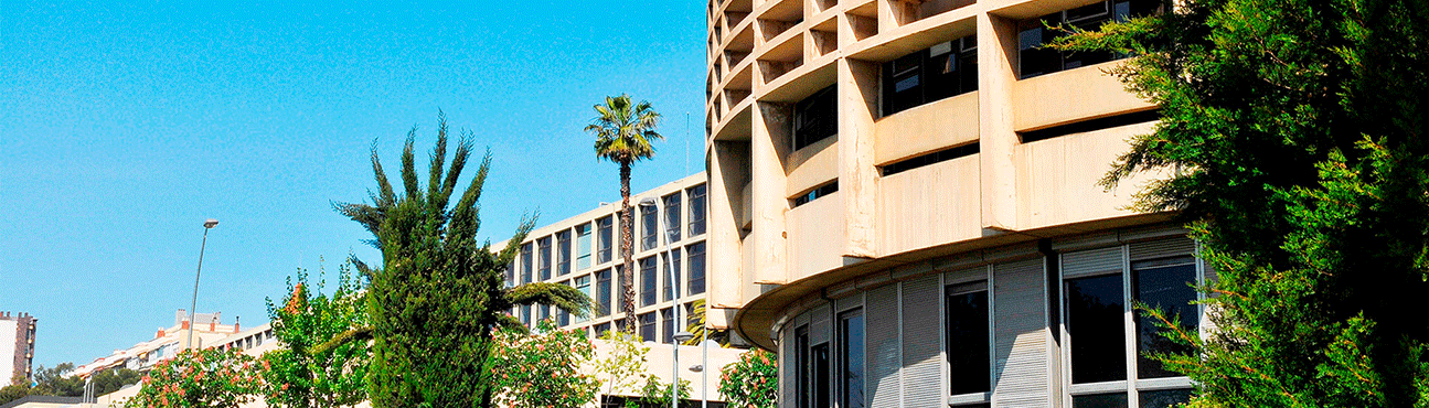 Economia I Empresa Facultat D Economia I Empresa Universitat De Barcelona