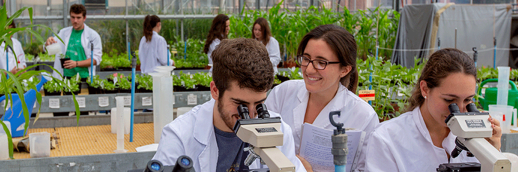 Studies - Faculty Of Biology - University Of Barcelona