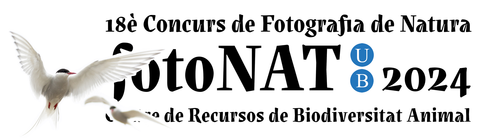 CONCURS DE FOTOGRAFIA DE NATURA fotoNAT-UB 2024