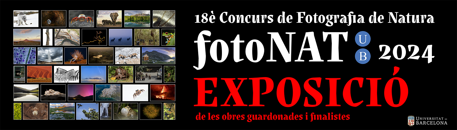 CONCURS DE FOTOGRAFIA DE NATURA fotoNAT-UB 2024