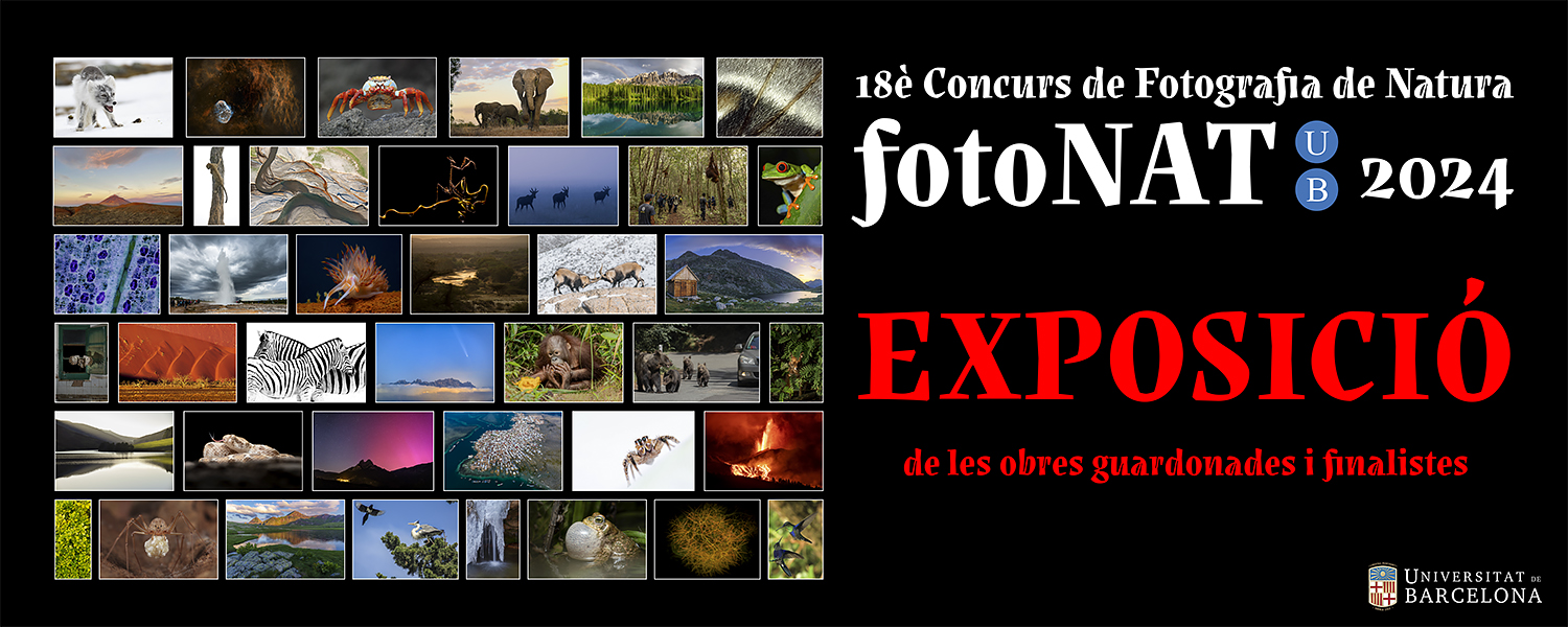 Exposició: fotoNAT-UB 2024