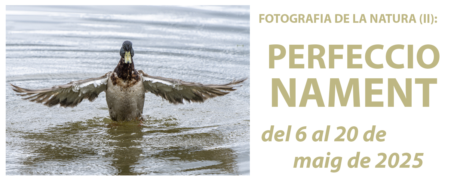Curs de Fotografia de la Natura (II): Perfeccionament - maig de 2025