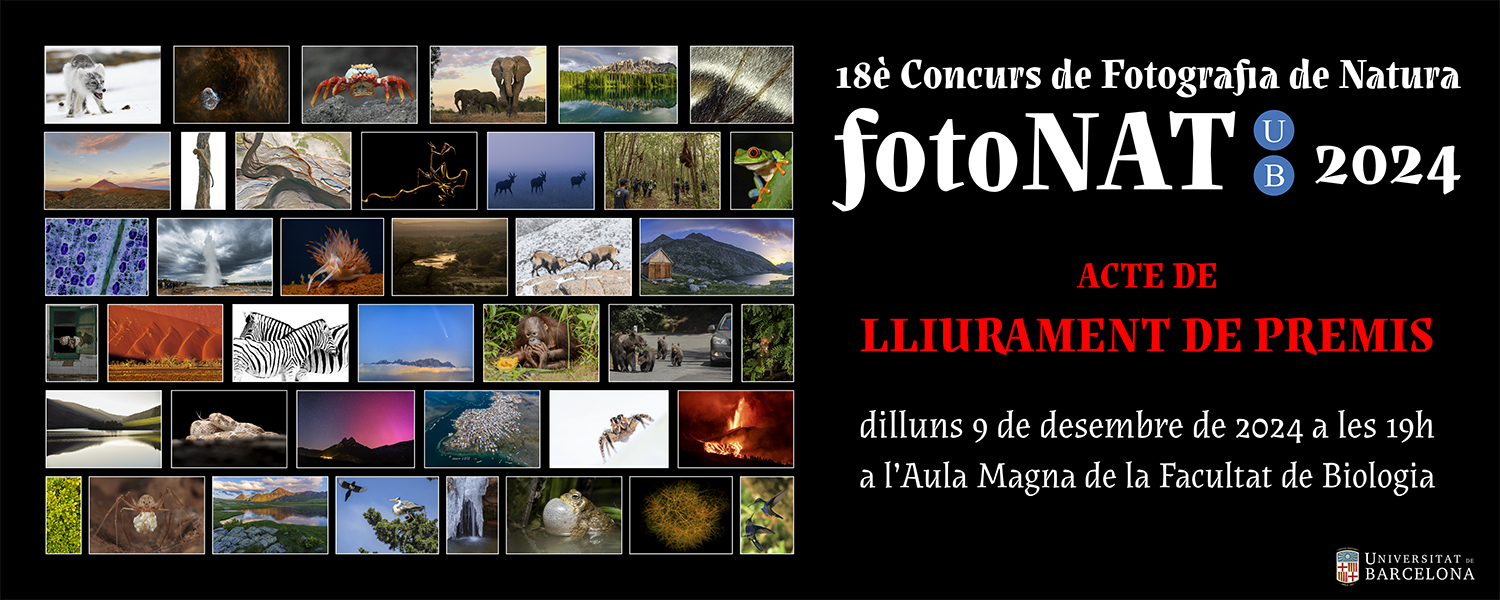 Concurs fotoNAT-UB 2024