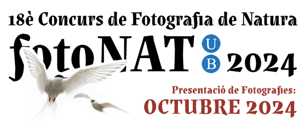 Convocatoria del Concurso fotoNAT-UB 2024