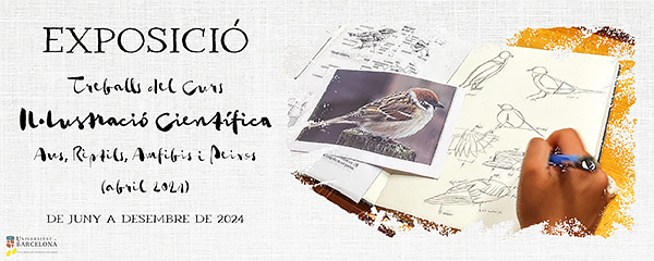 Exposición de los Trabajos del Curso de Ilustración Científica: Aves, Reptiles, Anfibios y Peces (edición de abril de 2024)