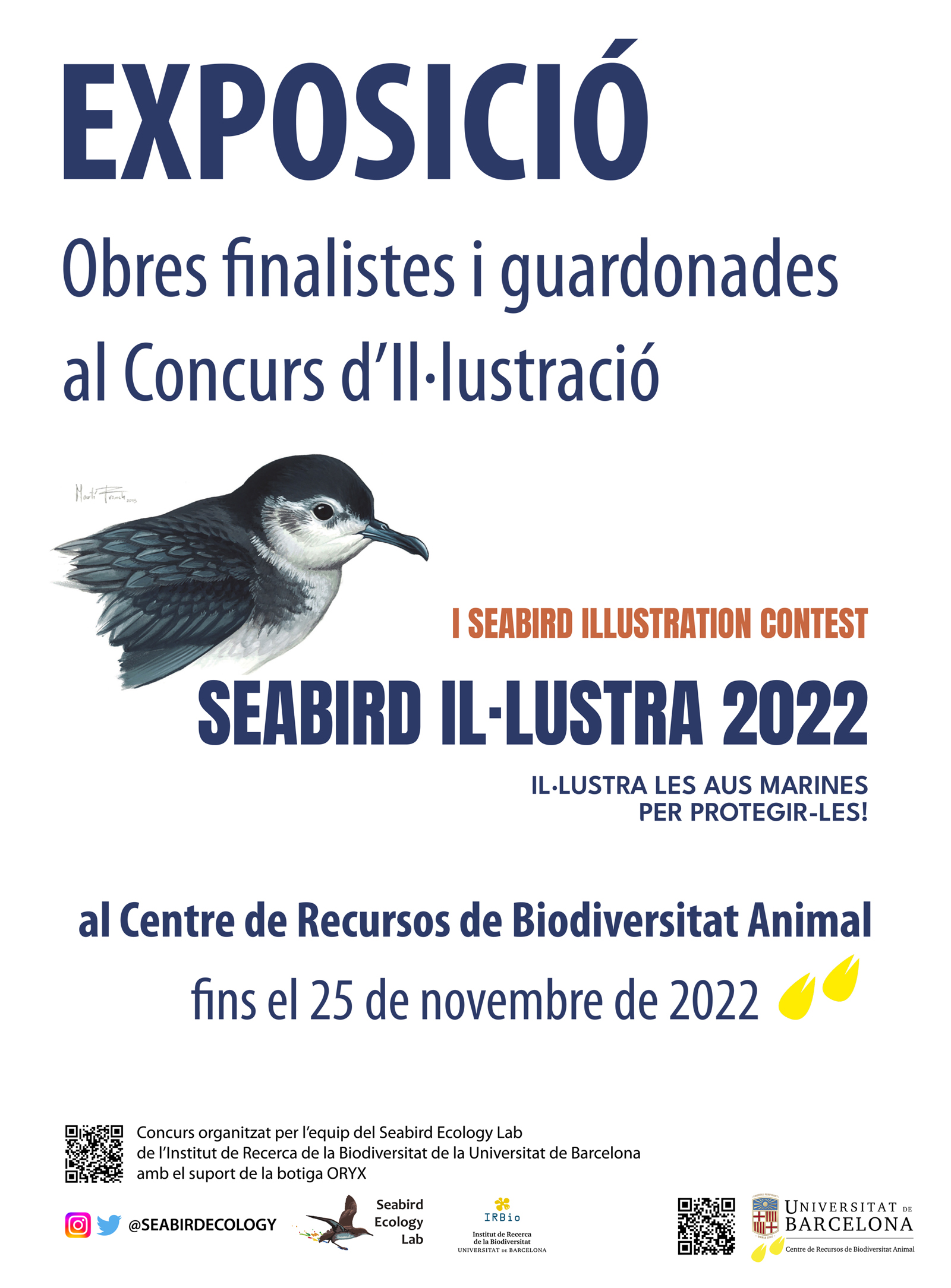 Seabird Ilustra 2022