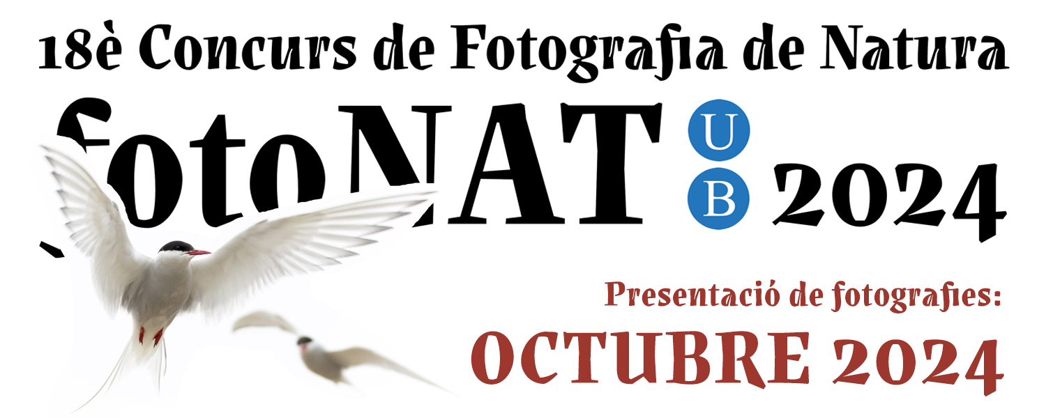 Concurso fotoNAT-UB 2024