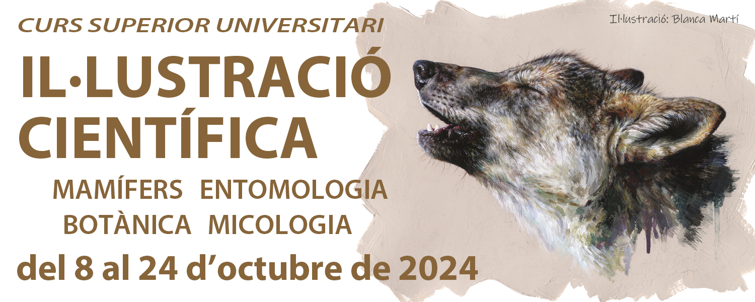 Curso de Ilustración Científica: Mamíferos, Botánica, Micología y Entomología