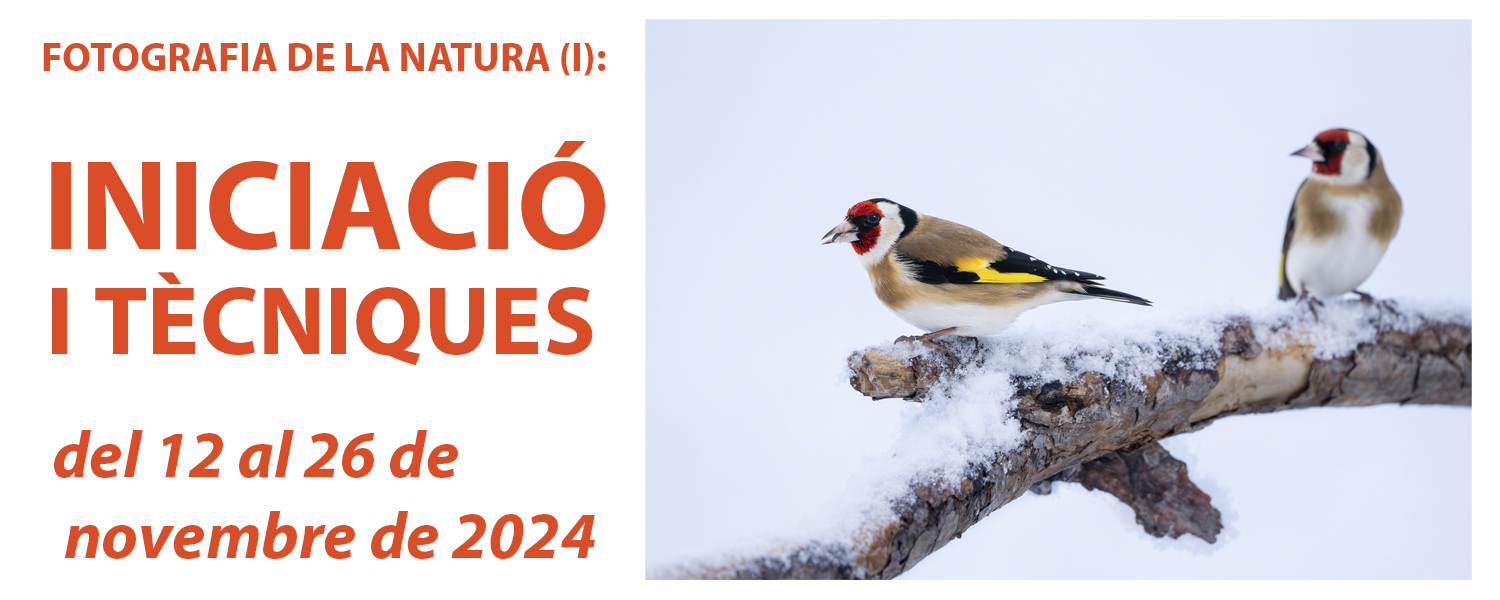 Curso de Fotografía de la Naturaleza (I): Iniciación - noviembre de 2024