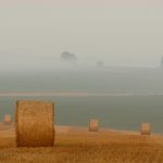 Hayfield and hay bales